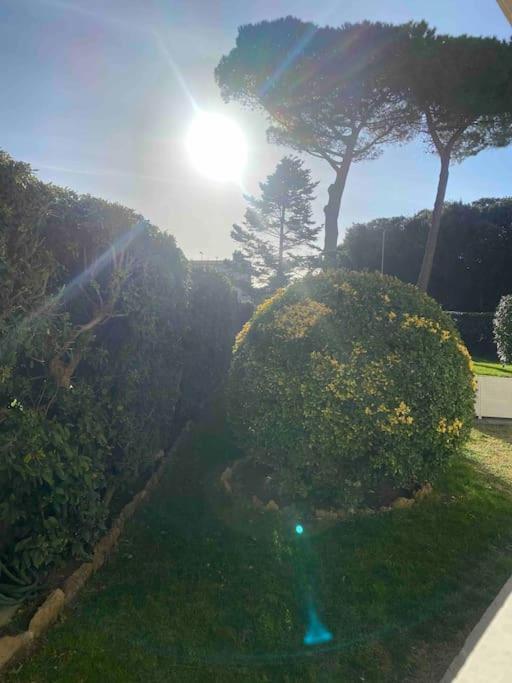 Apartament Casa Vento Marino Livorno Zewnętrze zdjęcie